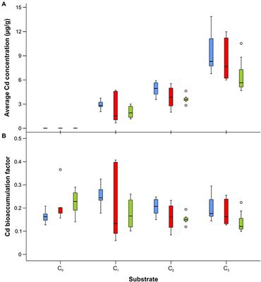 Puparial Cases as Toxicological Indicators: Bioaccumulation of Cadmium and Thallium in the Forensically Important Blowfly Lucilia sericata